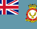 Флаг тренировочного военно-воздушного корпуса