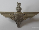 Кокарда PARACHUTE REGIMENT (INDIA)