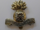 Кокарда ROYAL DUBLIN FUSILIERS