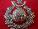 Кокарда ROYAL MARINES LIGHT INFANTRY