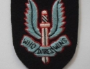 Кокарда SPECIAL AIR SERVICE BERET BADGE