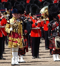 Scots Guards - Шотландский гвардейский полк Scots Guards - Шотландский гвардейский полк